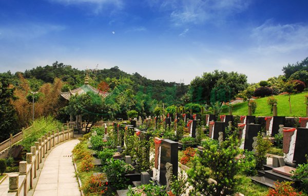 亿万先生MR·(中国集团)官方网站