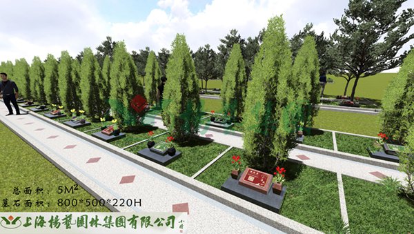 亿万先生MR·(中国集团)官方网站