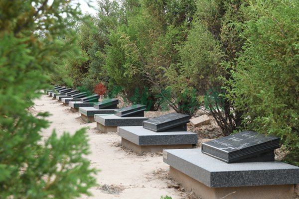 亿万先生MR·(中国集团)官方网站