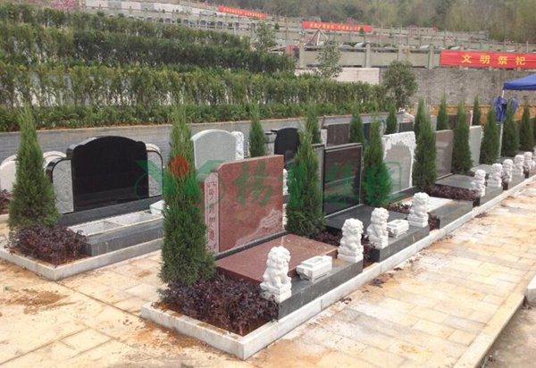 亿万先生MR·(中国集团)官方网站