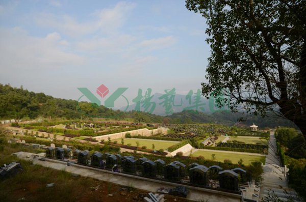 亿万先生MR·(中国集团)官方网站