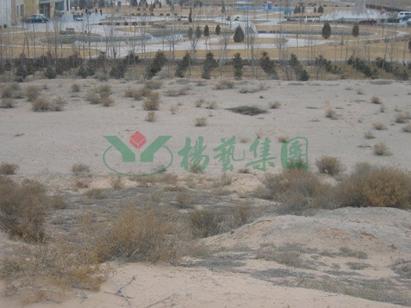 亿万先生MR·(中国集团)官方网站