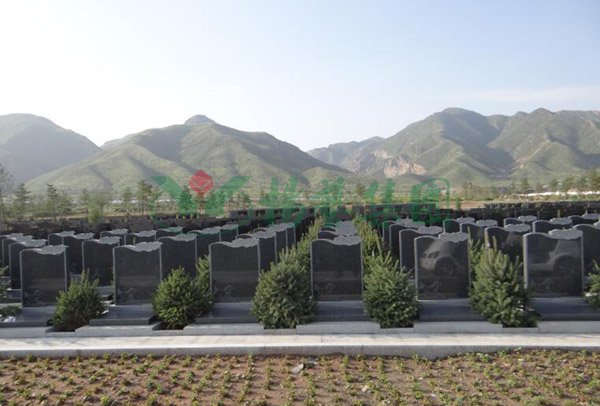 亿万先生MR·(中国集团)官方网站