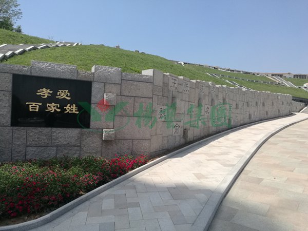 亿万先生MR·(中国集团)官方网站