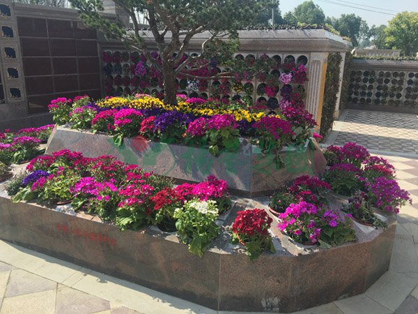 亿万先生MR·(中国集团)官方网站