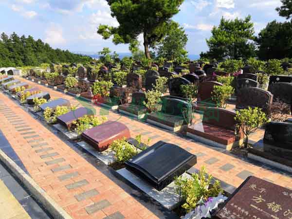 亿万先生MR·(中国集团)官方网站