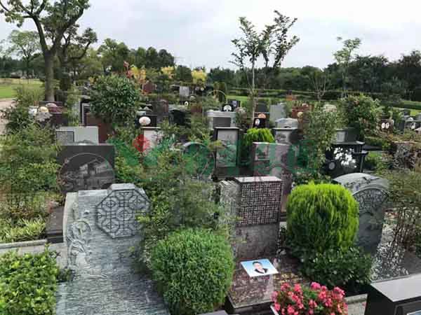 亿万先生MR·(中国集团)官方网站