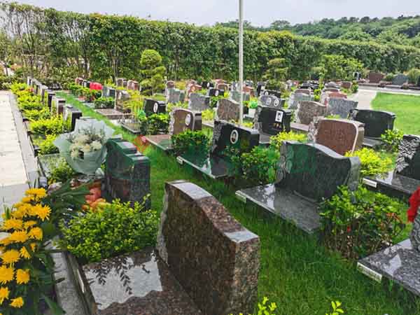 亿万先生MR·(中国集团)官方网站