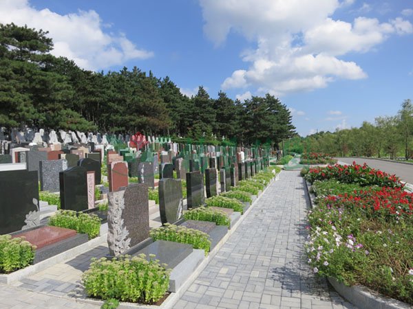 亿万先生MR·(中国集团)官方网站