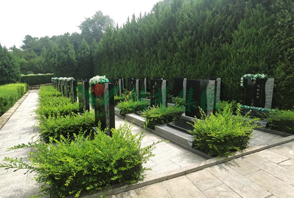 亿万先生MR·(中国集团)官方网站