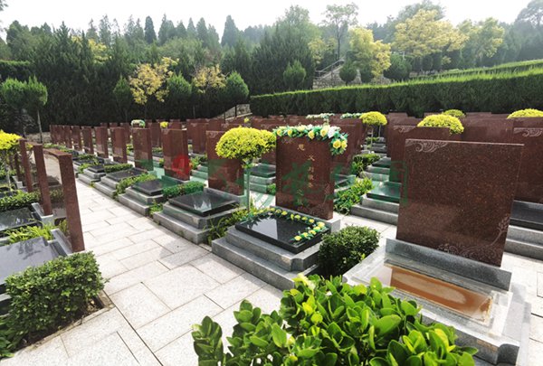 亿万先生MR·(中国集团)官方网站