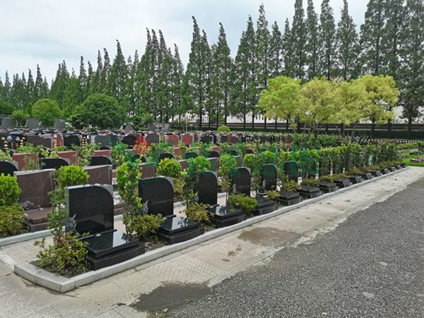 亿万先生MR·(中国集团)官方网站