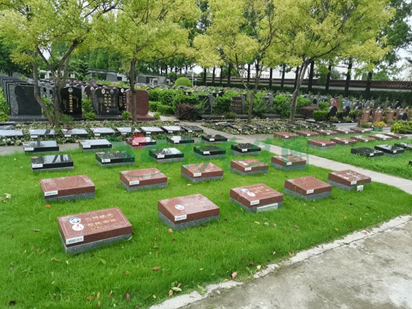 亿万先生MR·(中国集团)官方网站