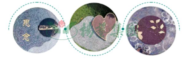 亿万先生MR·(中国集团)官方网站