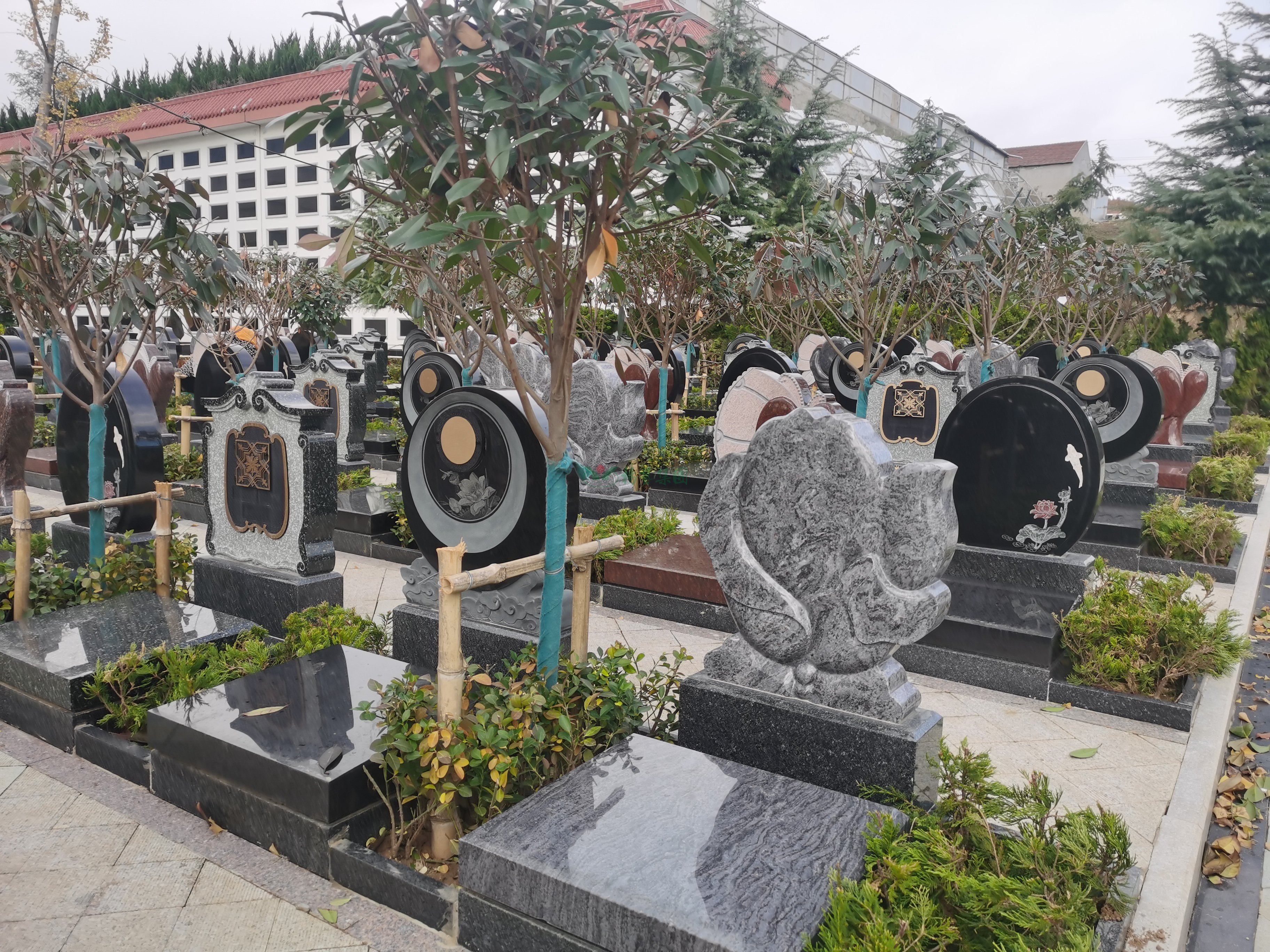 亿万先生MR·(中国集团)官方网站