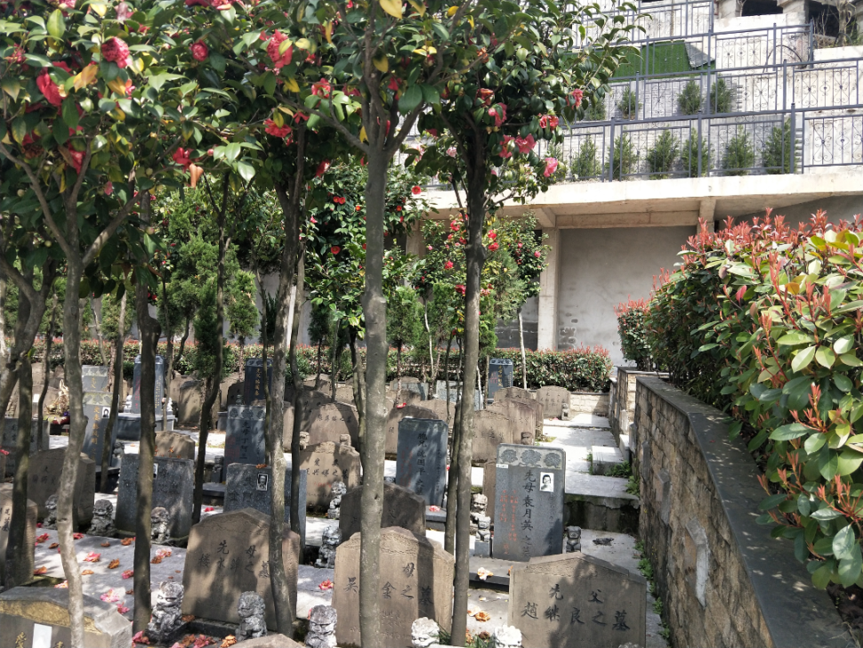 亿万先生MR·(中国集团)官方网站