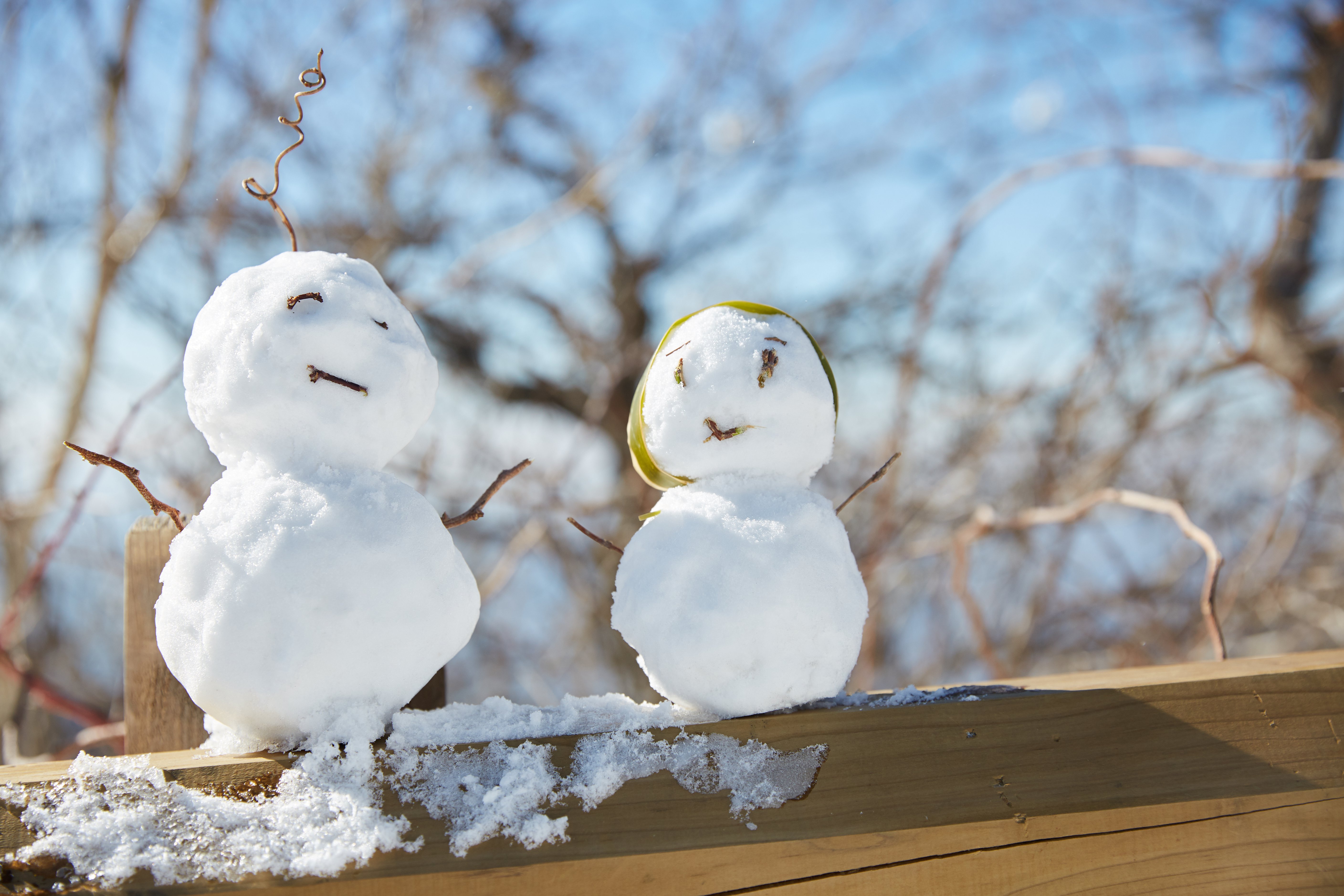 冬至，，，，，，，暖“杨”相伴 | 亿万先生MR人全力配合各墓园冬至落葬