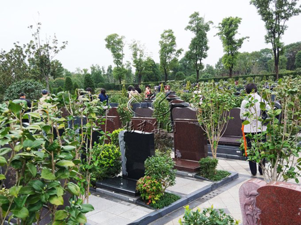 亿万先生MR·(中国集团)官方网站