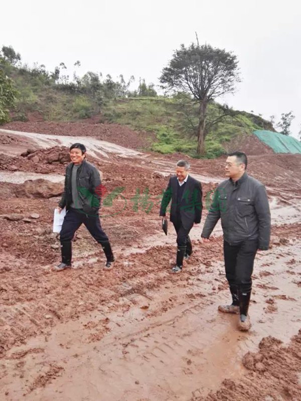 亿万先生MR·(中国集团)官方网站