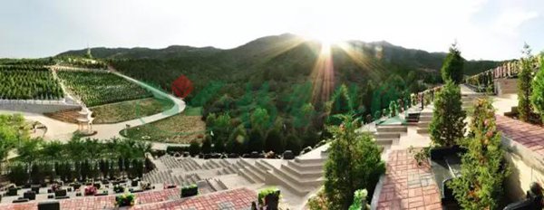 亿万先生MR·(中国集团)官方网站