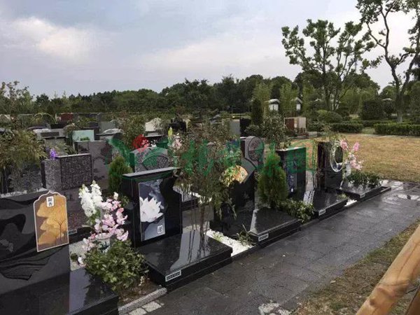 亿万先生MR·(中国集团)官方网站