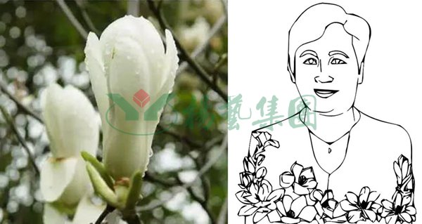 亿万先生MR·(中国集团)官方网站