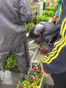 【亿万先生MR人别样清明】2018年清明落葬事情圆满完成