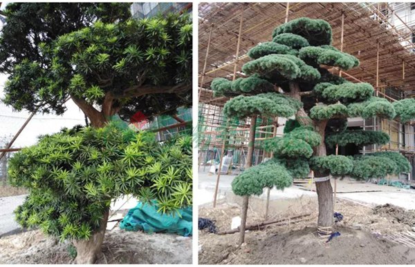 亿万先生MR·(中国集团)官方网站