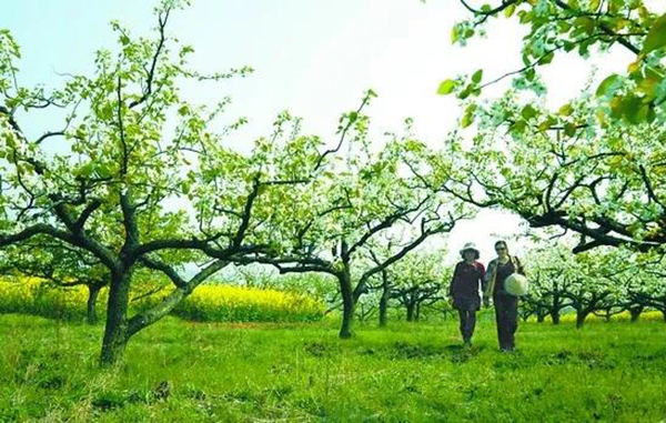 亿万先生MR·(中国集团)官方网站