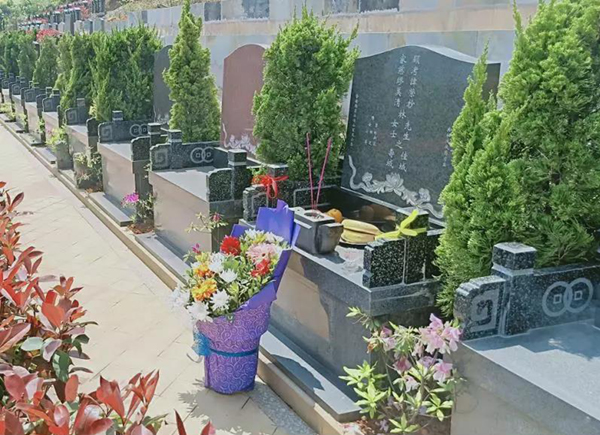 亿万先生MR·(中国集团)官方网站