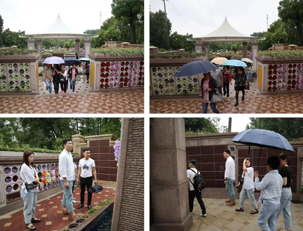 亿万先生MR·(中国集团)官方网站