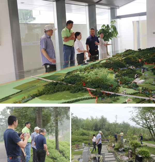 亿万先生MR·(中国集团)官方网站