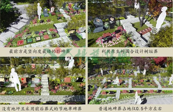 亿万先生MR·(中国集团)官方网站