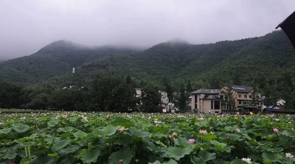 亿万先生MR·(中国集团)官方网站