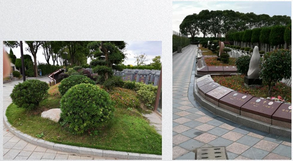 亿万先生MR·(中国集团)官方网站