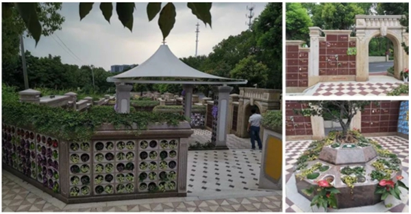 亿万先生MR·(中国集团)官方网站