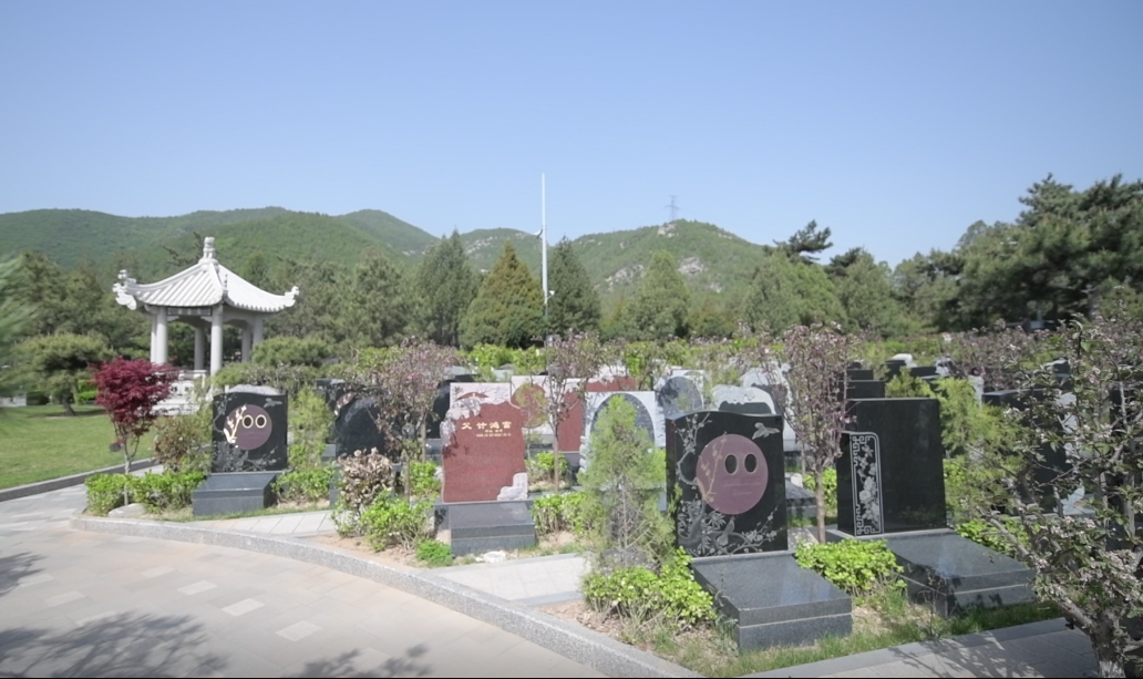 亿万先生MR·(中国集团)官方网站