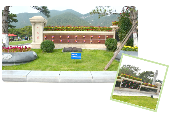 亿万先生MR·(中国集团)官方网站