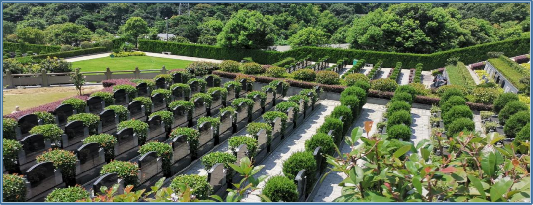 亿万先生MR·(中国集团)官方网站