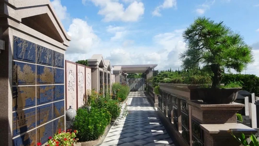 亿万先生MR·(中国集团)官方网站