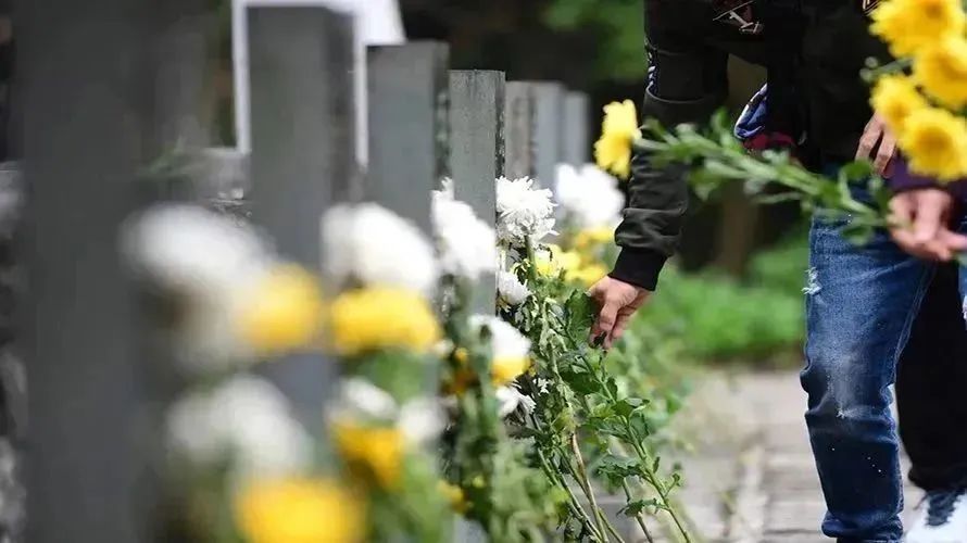 亿万先生MR·(中国集团)官方网站