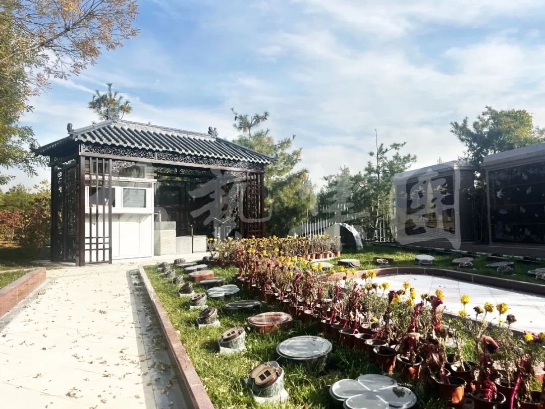 亿万先生MR·(中国集团)官方网站