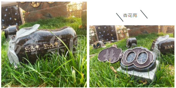 亿万先生MR·(中国集团)官方网站