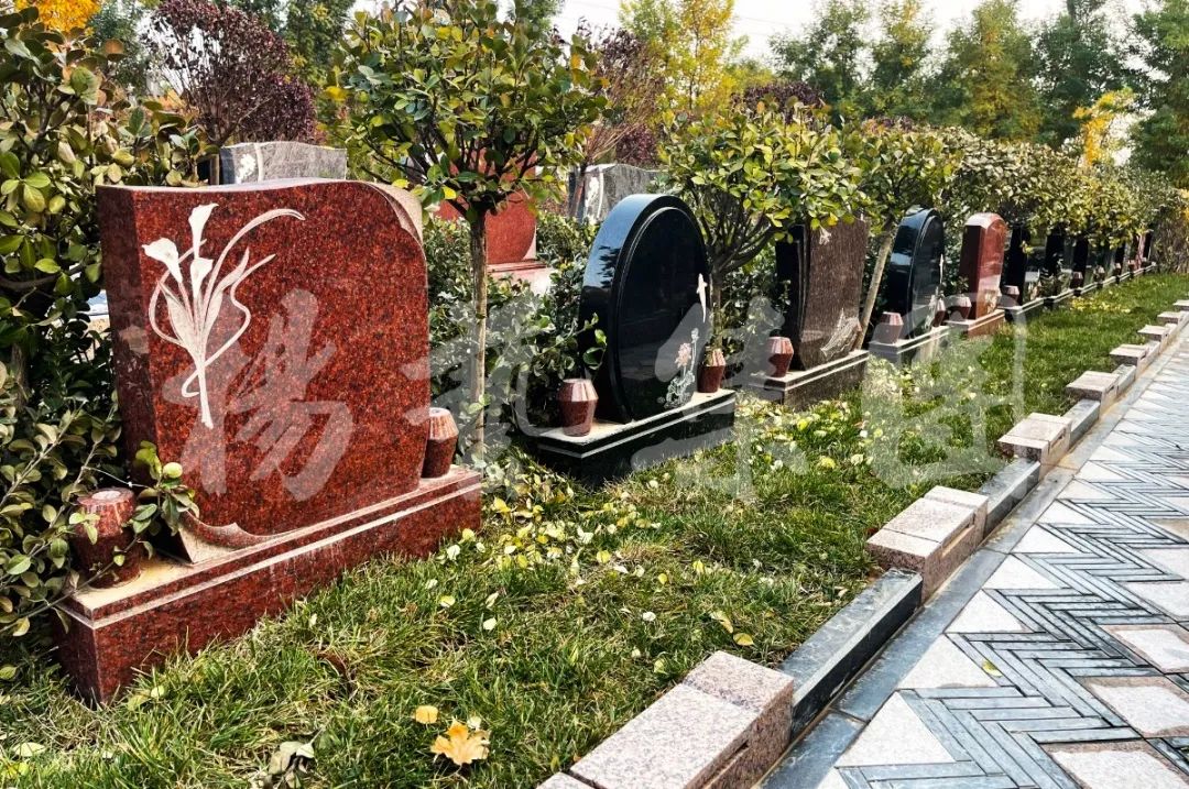 亿万先生MR·(中国集团)官方网站