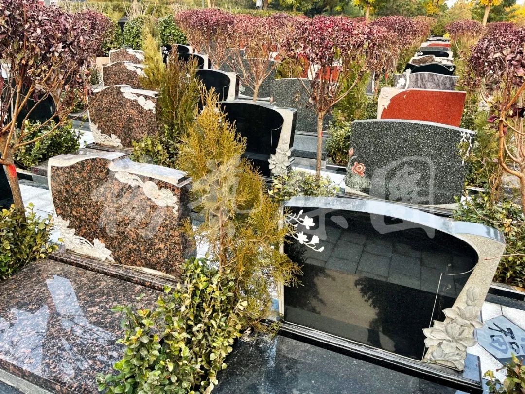 亿万先生MR·(中国集团)官方网站