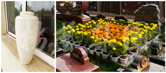 亿万先生MR·(中国集团)官方网站