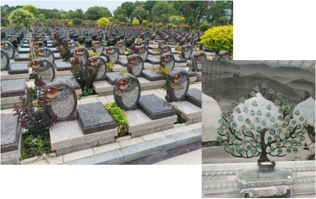 亿万先生MR·(中国集团)官方网站