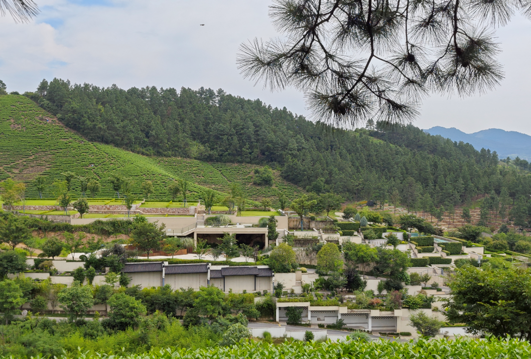 亿万先生MR·(中国集团)官方网站