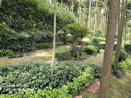 亿万先生MR·(中国集团)官方网站