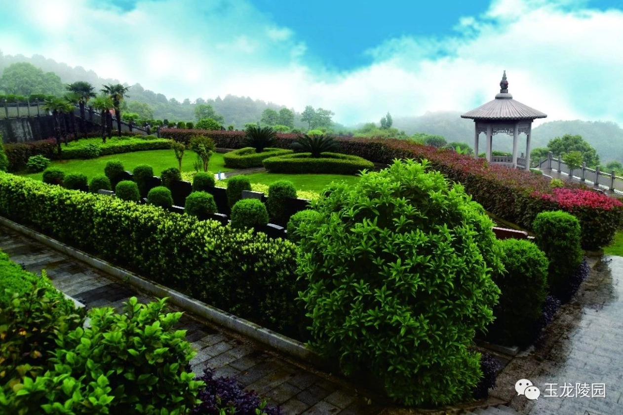 亿万先生MR·(中国集团)官方网站